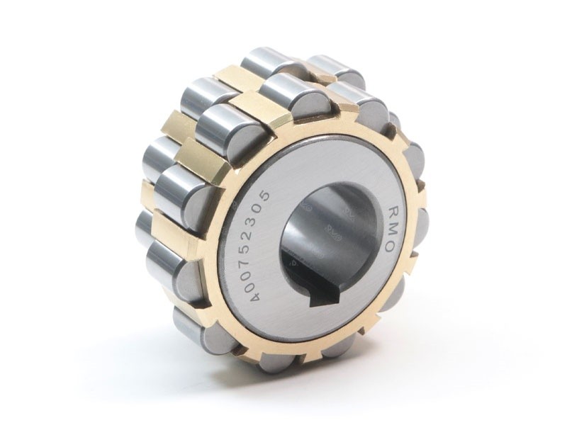 Double row eccentric roller bearing