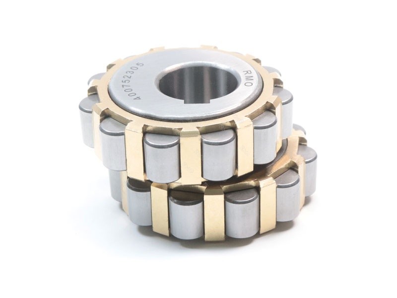 High precision eccentric cam bearing