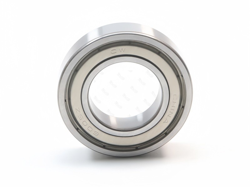 6005 bearing