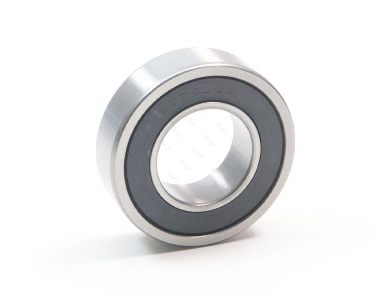 6004 bearing