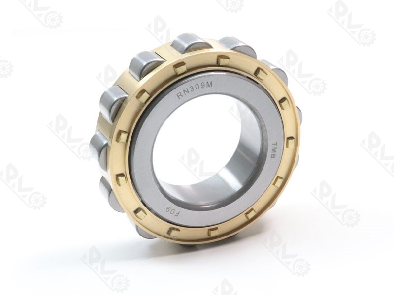 RN309M Cylindrical Roller Bearing