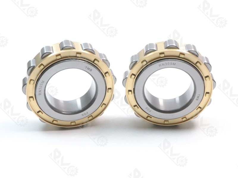RN309M Heavy Duty Cylindrical Roller Bearing