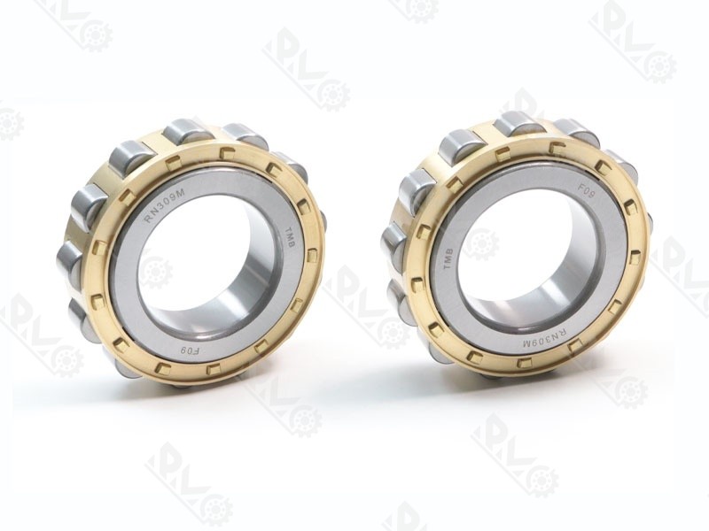 RN309M Heavy Duty Cylindrical Roller Bearing