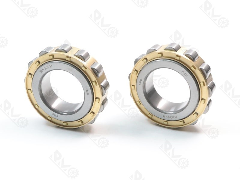 RN309M Chrome Steel Bearing