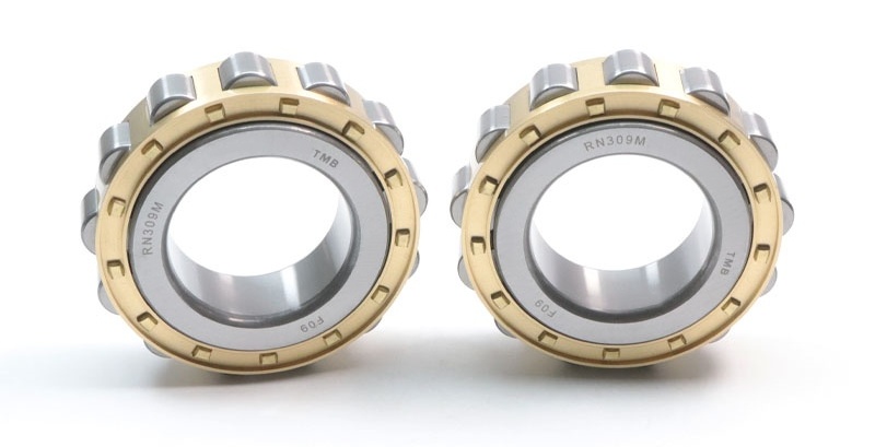 RN309M Outer Ring Free Cylindrical Roller Bearing