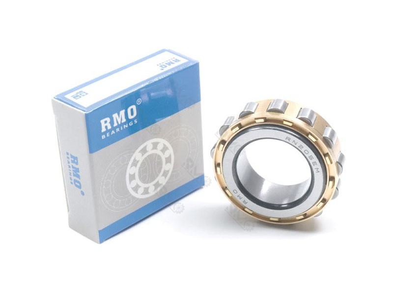 RN205EM Cylindrical Roller Bearing
