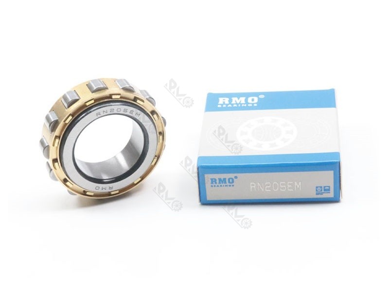 RN205EM Cylindrical Roller Bearing for Pumps